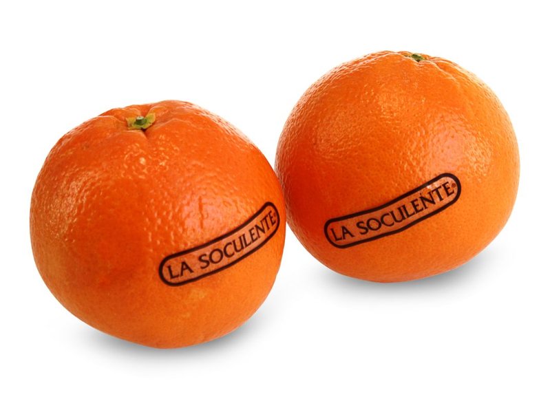 Orangen Soculente Orangen Soculente