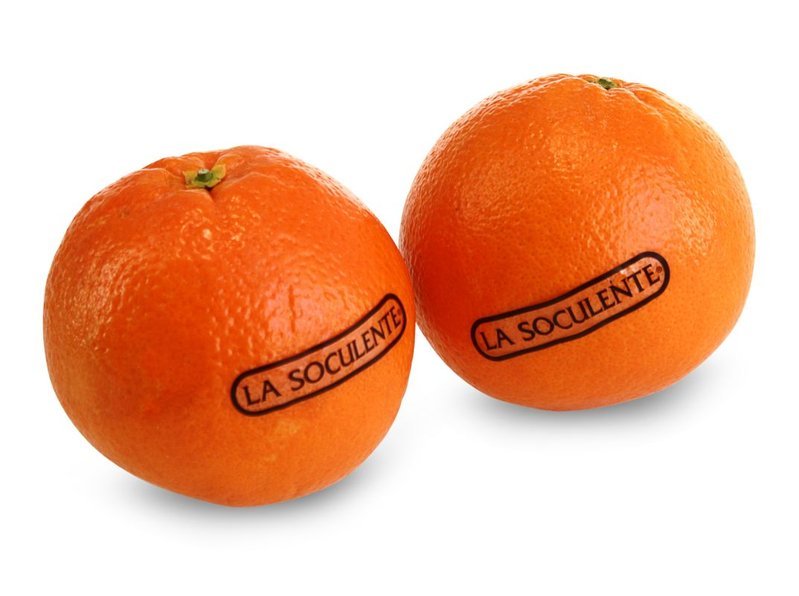 Orangen Soculente