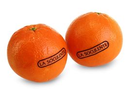Orangen Soculente