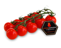 Honigtomaten