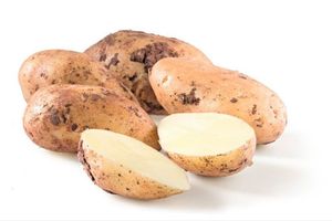 Kartoffel Annabelle aus Zypern