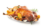 Gans, gebraten Gans, gebraten