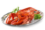 Hummer gekocht, Servierfertig Hummer gekocht, Servierfertig