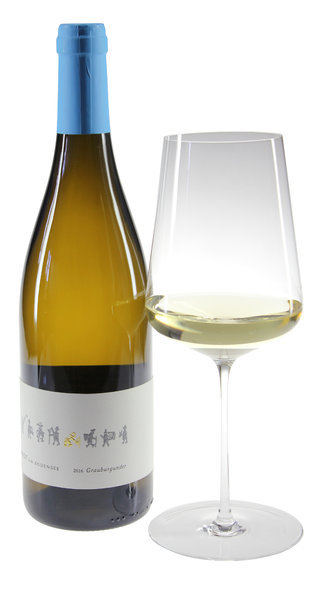 2016 Wasserburger Weinhalde Grauburgunder 2016 Wasserburger Weinhalde Grauburgunder