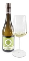 2017 Grüner Veltliner "Ried Goldberg" Edition Dallmayr 2017 Grüner Veltliner "Ried Goldberg" Edition Dallmayr