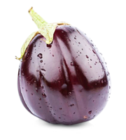 Aubergine violett Sizilien