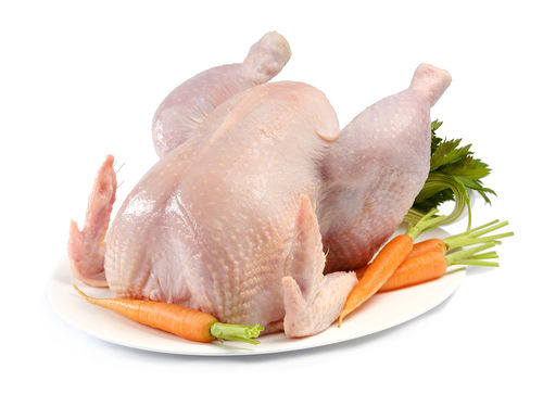Suppenhuhn Suppenhuhn
