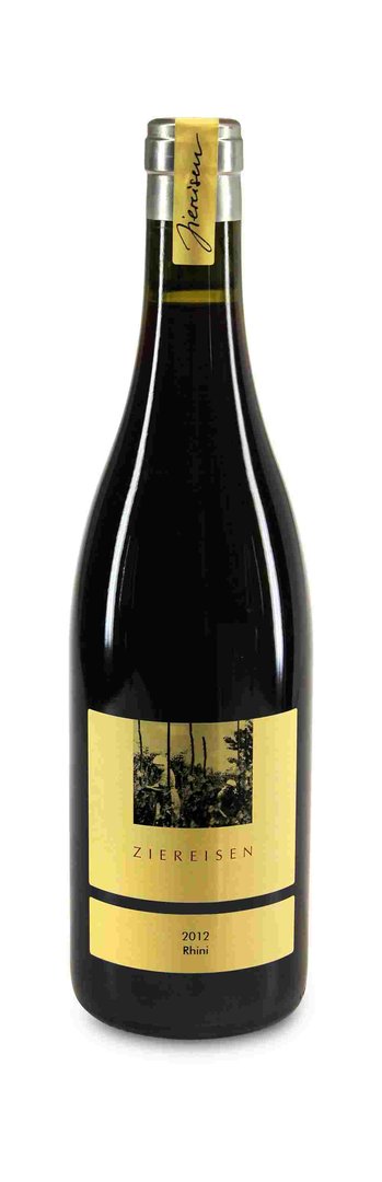 2016 Pinot Noir 'Rhini' trocken