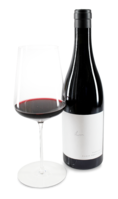 2017 Pannobile