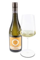2018 Grüner Veltliner "Ried Fumberg" 2018 Grüner Veltliner "Ried Fumberg"