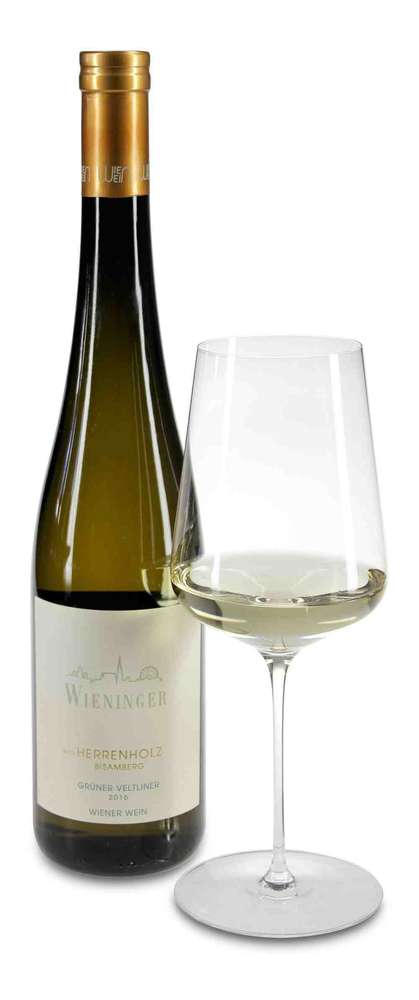 2018 Grüner Veltliner "Ried Herrenholz" Bisamberg