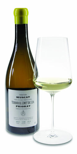 2016 Muscat 2016 Muscat