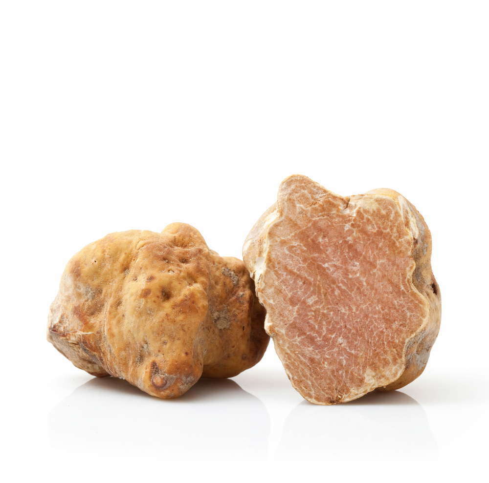 Trüffel weiss frisch Tuber magnatum Pico Trüffel weiss frisch Tuber magnatum Pico