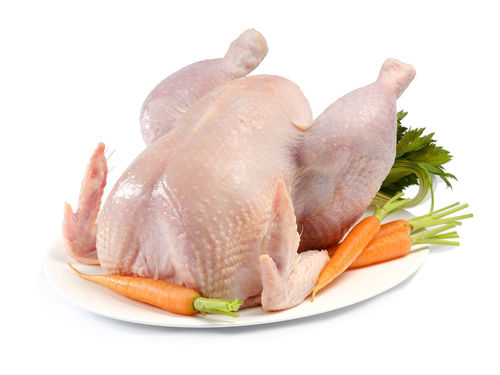 Suppenhuhn Suppenhuhn