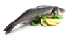 Wolfsbarsch, klein Wolfsbarsch, klein