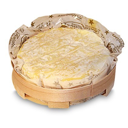 Image of Saint Félicien fermier, Rohmilch, mind. 45% Fett i. Tr.