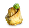 Lauch Strudel Lauch Strudel