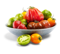 BUNTE TOMATEN