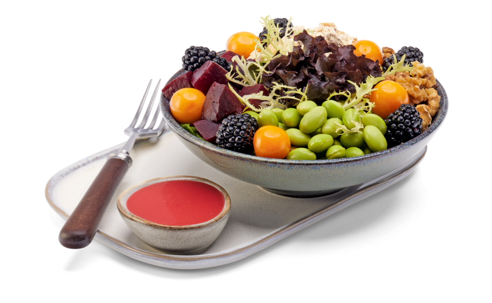 Superfood Salat - Quinoa, Brombeere, Rote Bete in der Bagasse Schale