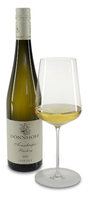 2020 "Tonschiefer" Riesling trocken 2020 "Tonschiefer" Riesling trocken