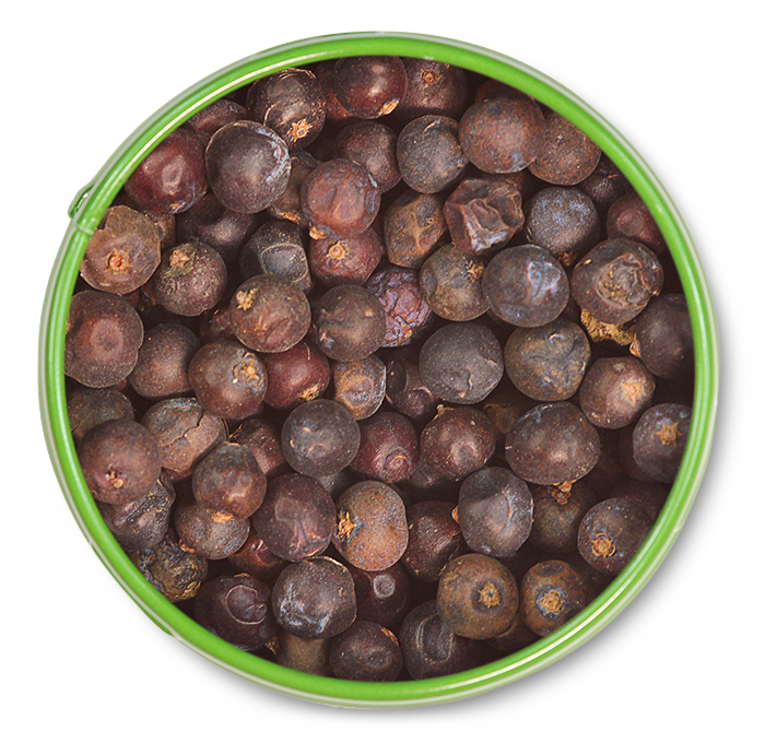 Wacholderbeeren Wacholderbeeren