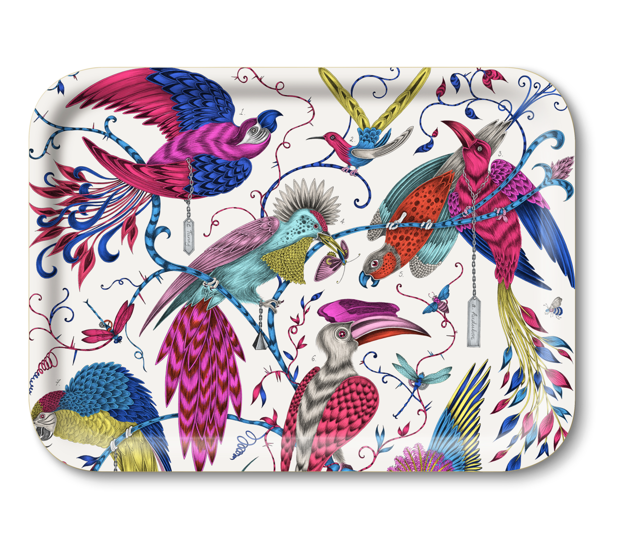 Image of Tablett Audubon Vögel bunt Jamida of Sweden