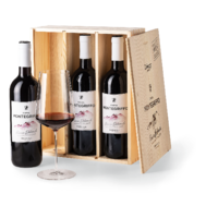 2019 Castel Montegriffo Rosso Dolomiti Vigneti delle Dolomiti IGT Rosso