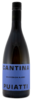 2020 Sauvignon Friuli DOP 2020 Sauvignon Friuli DOP