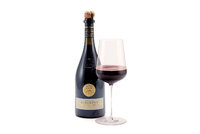 2020 Lambrusco Grasparossa di Castelvetro DOC Vigneto Enrico Cialdini 2020 Lambrusco Grasparossa di Castelvetro DOC Vigneto Enrico Cialdini