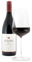 2018 HAHN GSM