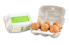 6 frische Chiemgauer Bio-Eier, Güteklasse A Gewichtsklasse L