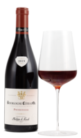 2019 Bourgogne Côte D' Or Rouge AOP Pressonnier