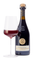 2021 Lambrusco Grasparossa di Castelvetro DOC Vigneto Enrico Cialdini 2021 Lambrusco Grasparossa di Castelvetro DOC Vigneto Enrico Cialdini