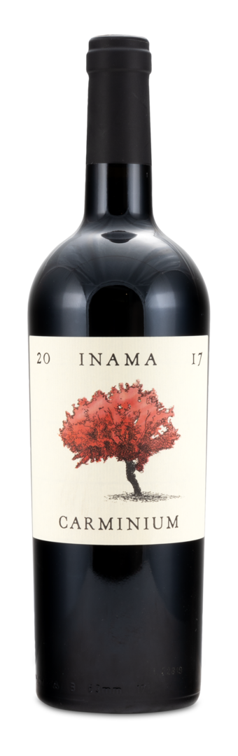 Image of 2017 Carminium Colli Berici DOC