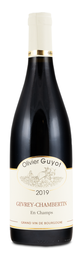 Image of 2019 Gevrey-Chambertin AC "En Champs"