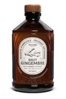 Ingwersirup Bio
