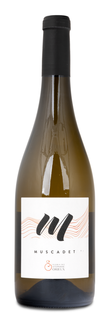 Image of 2022 Muscadet AOP Cuvée M