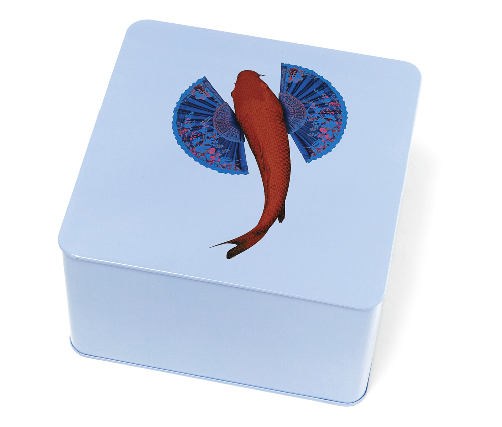 Dose Fischkoi