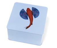 Dose Fischkoi