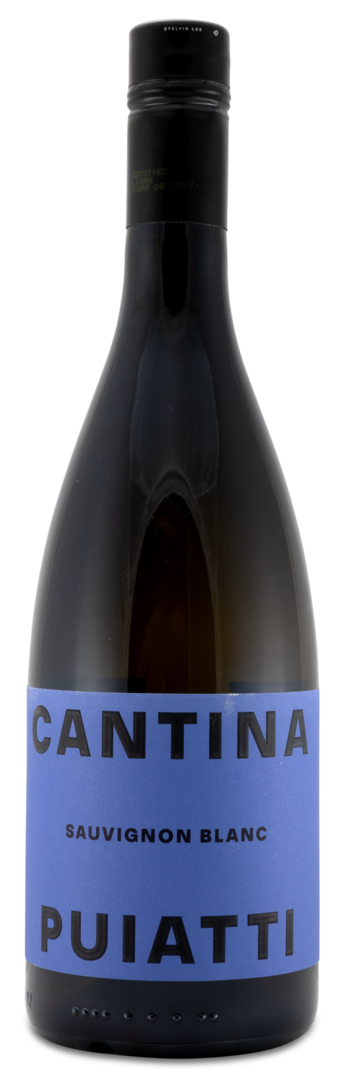 Image of 2022 Sauvignon Blanc Friuli DOC