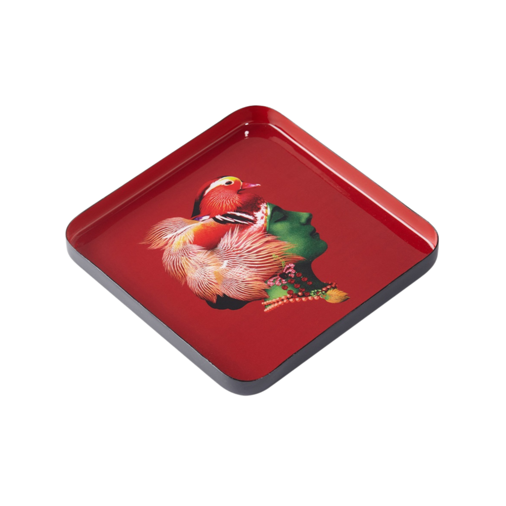 Tablett klein Kanrienvogel Curiosito Tablett klein Kanrienvogel Curiosito