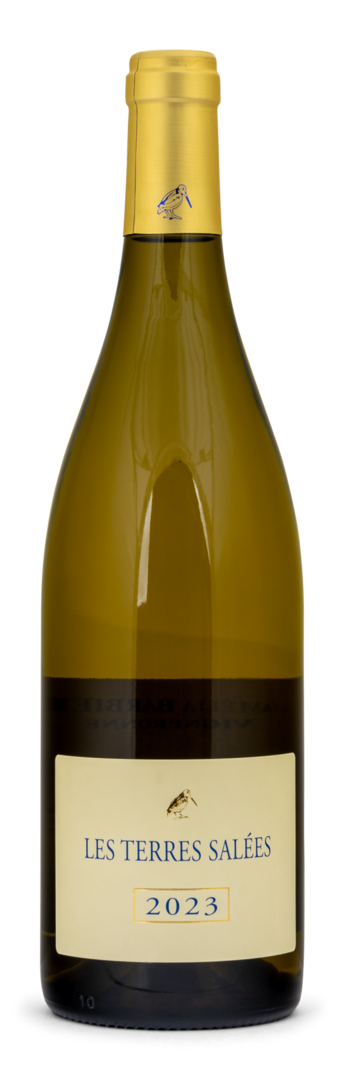 Image of 2023 Les Terres Salées Blanc