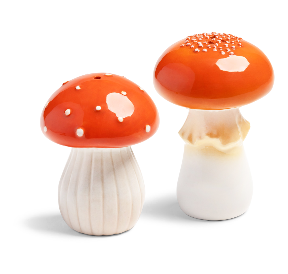 Pilze Salz- und Pfefferstreuer 9.5 x Ø 7 | 8 x Ø 6 cm Pilze Salz- und Pfefferstreuer 9.5 x Ø 7 | 8 x Ø 6 cm