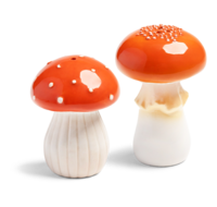 Pilze Salz- und Pfefferstreuer 9.5 x Ø 7 | 8 x Ø 6 cm