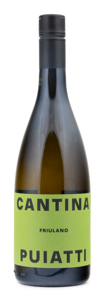 2024 Friulano Friuli DOC 2024 Friulano Friuli DOC