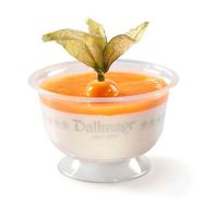 Panna Cotta Panna Cotta