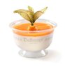 Panna Cotta Panna Cotta