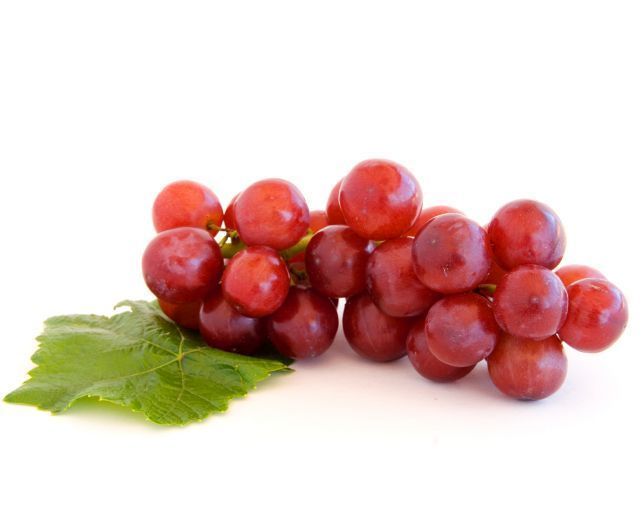 Trauben Fragolino kernlos Trauben Fragolino kernlos