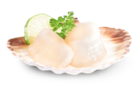Scallops