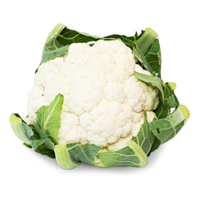 Blumenkohl